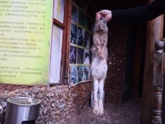-猎鹰谷实弹射击俱乐部