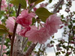 -观澜湖生态运动公社