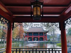 -顺峰山公园