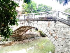 -小洲村
