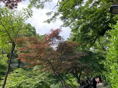 -虞山风景区