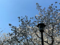 -中山公园
