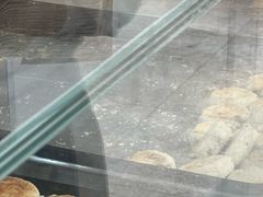 -苏顺成纯绿豆饼(天山大街店)