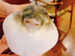 -肆月河豚·新淮扬(金融街店)