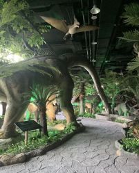 -恐龙探索乐园(磁器口店)