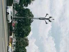 -海棠烟雨公园