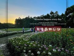 -上海共青森林公园