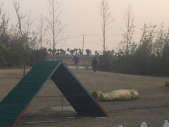 -上海崇明金茂凯悦酒店