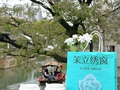 -青果巷历史文化街区