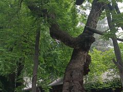 -潭柘寺景区