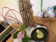 -一本钓鲔鱼屋