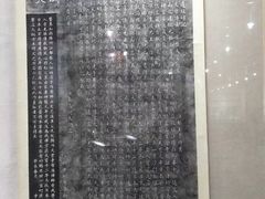 -广东中医药博物馆