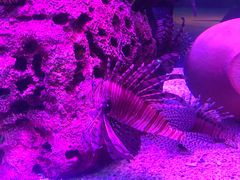 -沈阳海洋探索中心