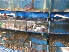 水产区-蟹谢蒸鲜自助餐厅