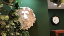 -皇室米澜摄影工作室(宝安店)
