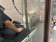 -FAELING PETS美天灵宠物(富力广场店)