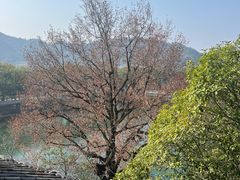-蒋氏故居