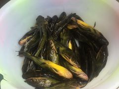 水煮黄辣丁-胖大姐黄辣丁鱼庄(新津店)