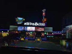 -枫花园汽车电影院(朝阳公园店)