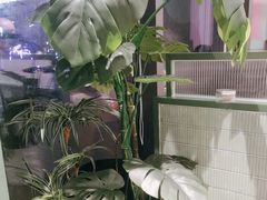 -椰小鸡·琼州糟粕醋·火锅(美兰缤纷城店)