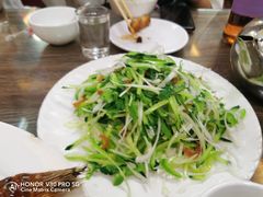 老虎菜-林之六八·6886大连老菜馆