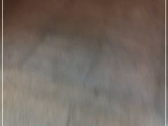 -友坐OMNI(民园广场店)