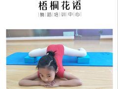 -梧桐花语舞蹈培训中心(潞城校区)