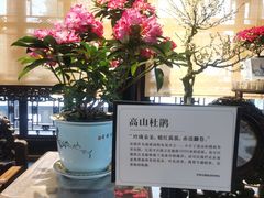 -拙政园