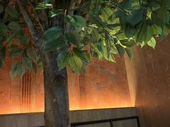 -同仁四季椰子鸡(无锡滨湖万象汇店)