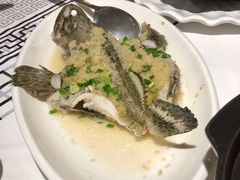-强记海鲜·大排档(蛇口新街店)