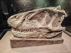 -自贡恐龙博物馆