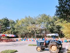 -光明农场大观园