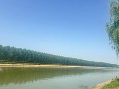 -盱眙虾神於氏龙虾(夫子庙红街店)