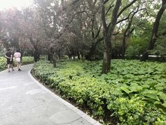 -迎泽公园