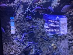 -成都浩海立方海洋公园