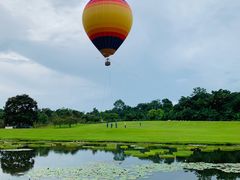 -中国科学院西双版纳热带植物园