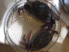 -海味当家(西安路店)