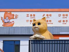 -向外鱼乐·土菜·虹鳟鱼