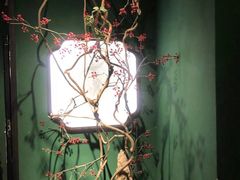 -掌柜的店·河南菜(日月光店)