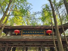 -大慈恩寺(大雁塔)