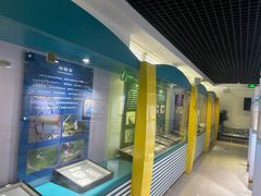 -上海昆虫博物馆