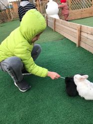 -萌宠亲子动物乐园(槐房万达店)