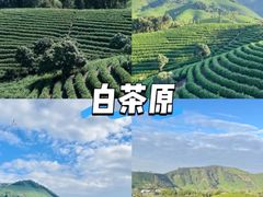 -阿露佳·舌尖上的安吉菜