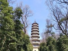 -灵谷景区