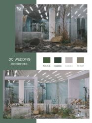-DC大蔡婚礼策划(李公堤店)