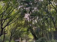 -深圳国际园林花卉博览园