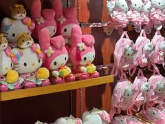 -安吉Hello Kitty乐园