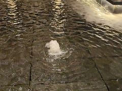 -外滩·云南人家(昆明旗舰店)