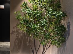 -华夏良子·足道SPA艾灸(王府井店)