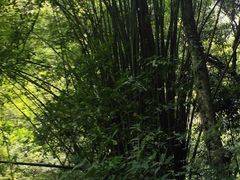 -赤水丹霞旅游区·佛光岩